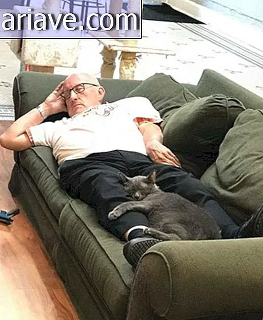 Этот джентльмен каждый день посещает приют для кошек, чтобы спать с кисками