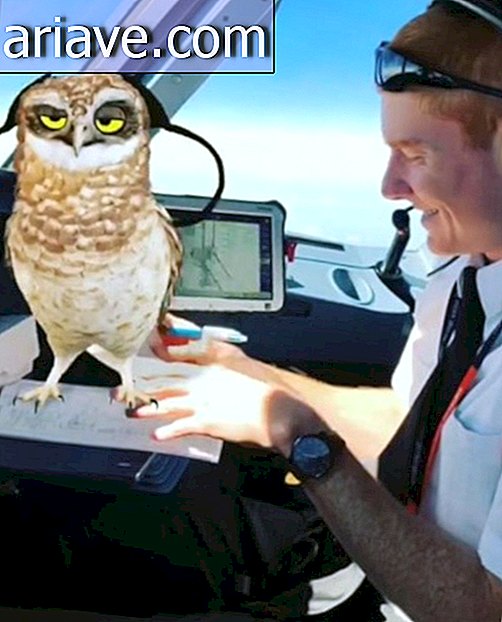 Piloten sind gesperrt, weil sie während des Fluges Witze über Snapchat gemacht haben