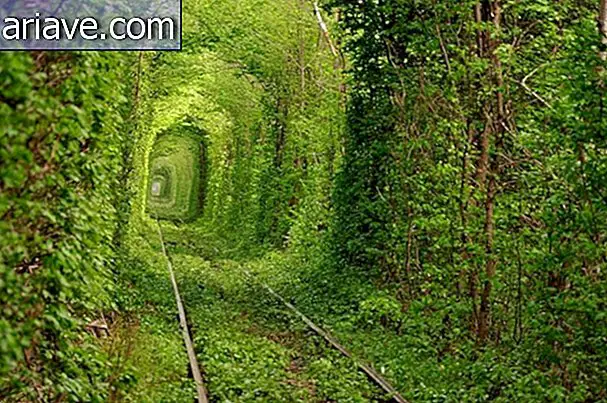 Rakkauden tunneli, Ukraina