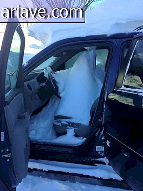 Car full of snow