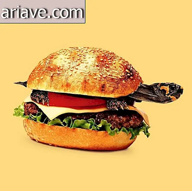 Hanggang Hamburger