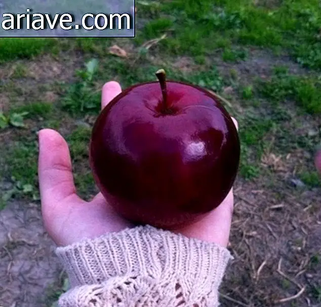 O mână care ține un măr