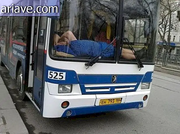 Conductor de autobús durmiendo