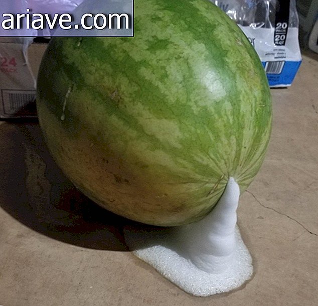 vodný melón