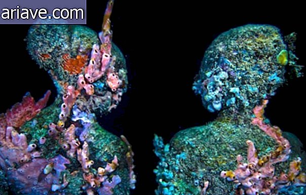 पानी के नीचे की कला: 400 से अधिक मूर्तियों वाले कैरेबियन सागर के घर