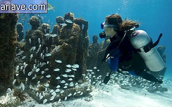 Podvodna umetnost: Hiše na Karibskih morjih Več kot 400 kipov