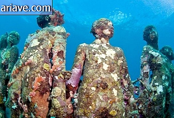 Podvodna umetnost: Hiše na Karibskih morjih Več kot 400 kipov