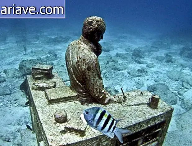 Víz alatti művészet: A Karib-tengeri házak több mint 400 szoborot tartalmaznak