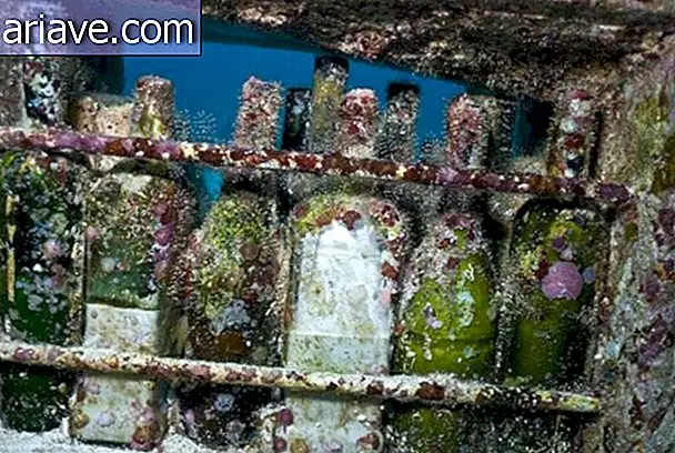 पानी के नीचे की कला: 400 से अधिक मूर्तियों वाले कैरेबियन सागर के घर