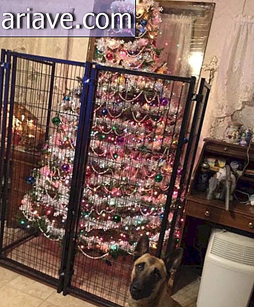 Kerstmis en huisdieren