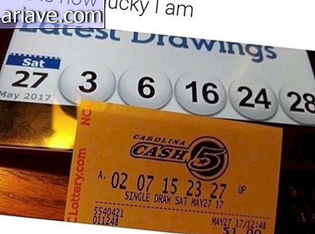Lotterienummern