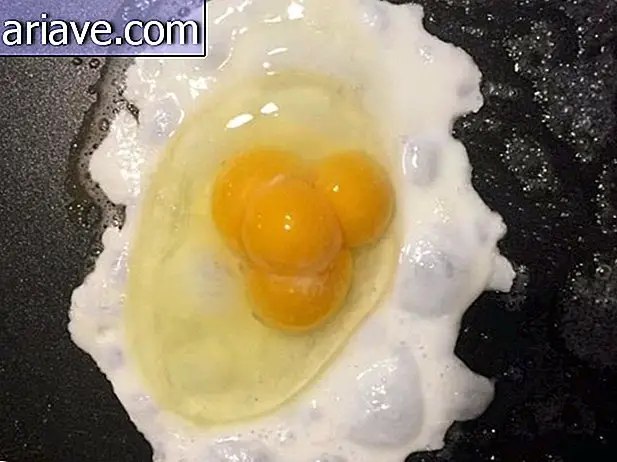 Huevo con cuatro yemas de huevo.