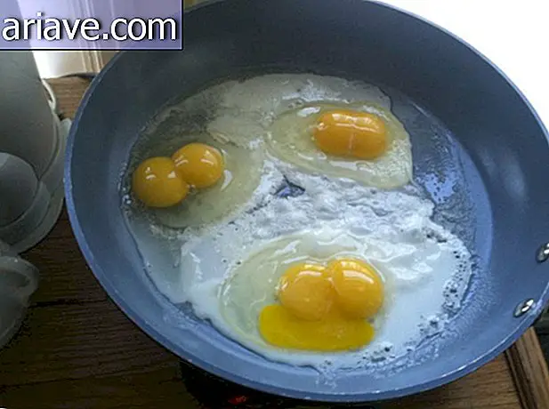 tre egg med to eggeplommer