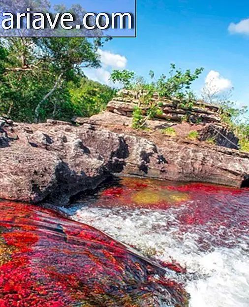 Prečo je táto rieka v Kolumbii považovaná za najkrajšiu na svete?