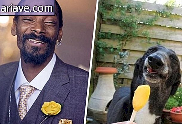 Snoop Dog and Dog