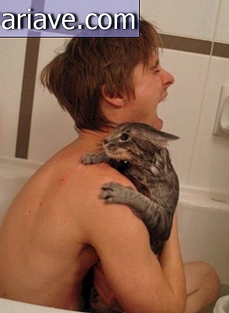 bain avec chat
