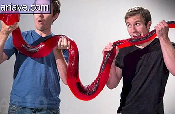 Extraño: la serpiente de goma comestible mide 2 metros y pesa más de 12 libras
