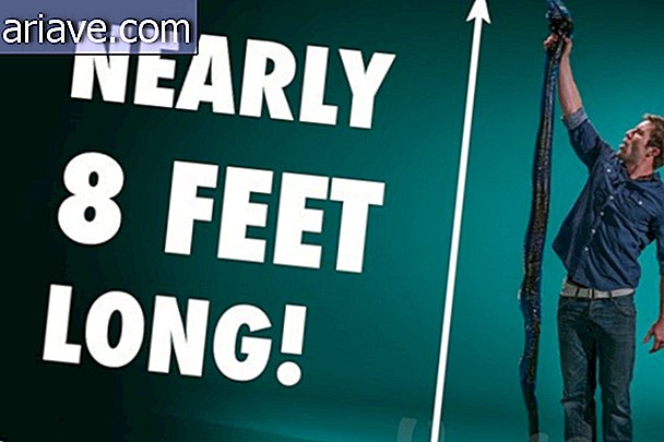 Bizzarro: il serpente di gomma commestibile misura 2 metri e pesa oltre 12 chili