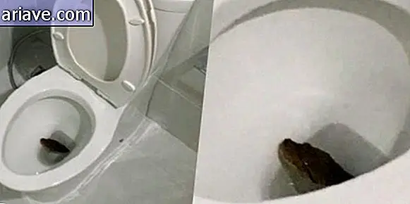 Serpente in bagno