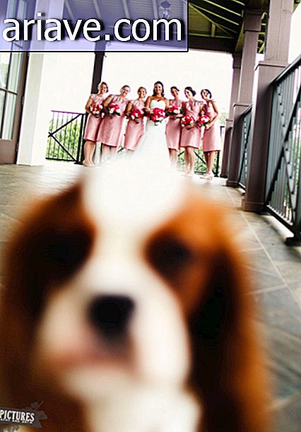 photobomb en boda