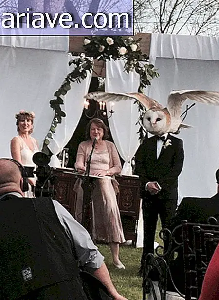 fotobomb la nuntă