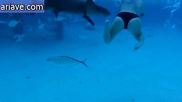 Az ember filmezi a feleséget, amelyet cápa támadott meg pár nászútján
