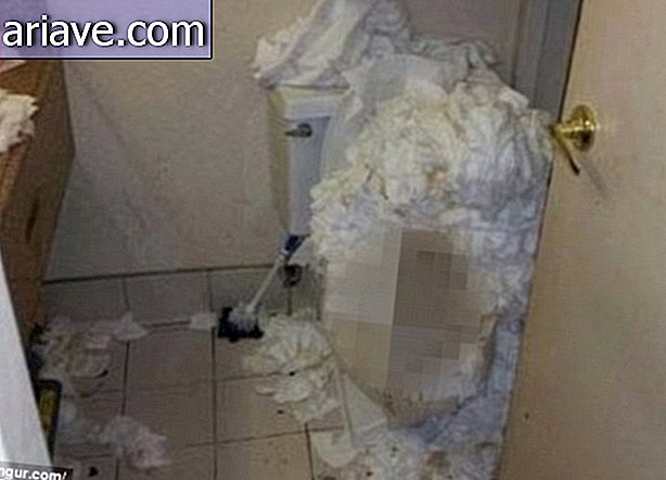 Najgorsze ze wszystkich sytuacji bez wątpienia. Stos zużytego papieru toaletowego nad zatkaną miską toaletową ze skrawkami czegoś na zdjęciu, który jest zamazany, ale nie musimy nawet mówić, co to jest ...
