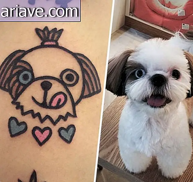 कभी अपने पालतू जानवर का टैटू बनवाना चाहती थी? फिर देखिए ये तस्वीरें