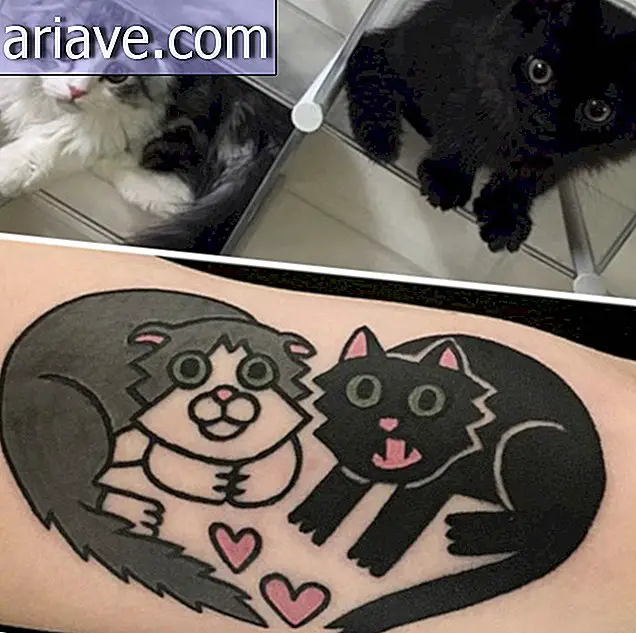 Nogensinde ønsket at få en tatovering af dit kæledyr? Så se disse fotos