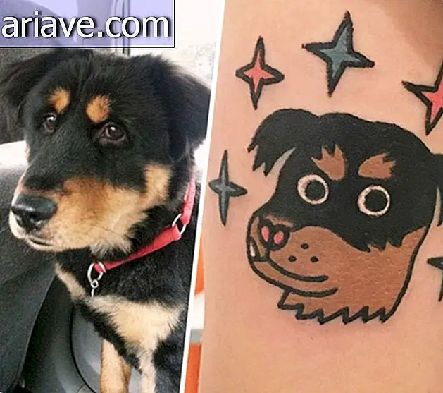 Vous avez toujours voulu faire tatouer votre animal de compagnie? Alors voir ces photos