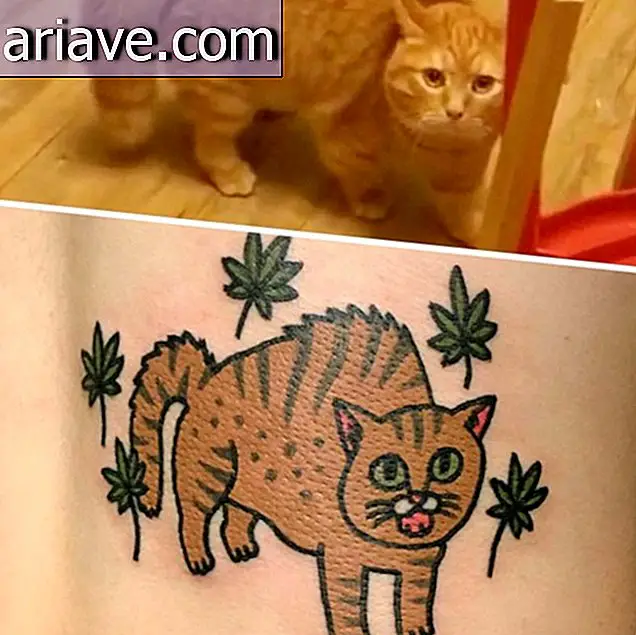 Har du noen gang ønsket å få en tatovering av kjæledyret ditt? Så se disse bildene
