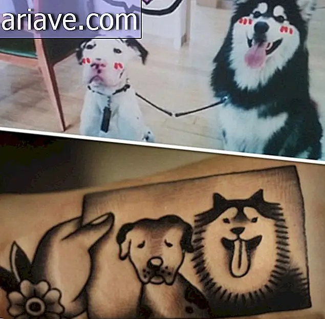 Ooit een tatoeage van je huisdier willen krijgen? Bekijk dan deze foto's