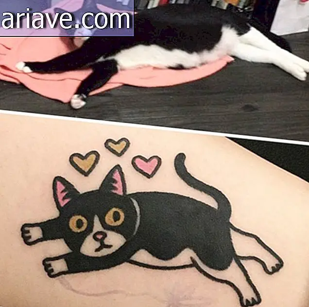 Ooit een tatoeage van je huisdier willen krijgen? Bekijk dan deze foto's