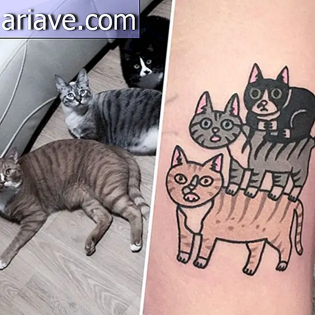 कभी अपने पालतू जानवर का टैटू बनवाना चाहती थी? फिर देखिए ये तस्वीरें