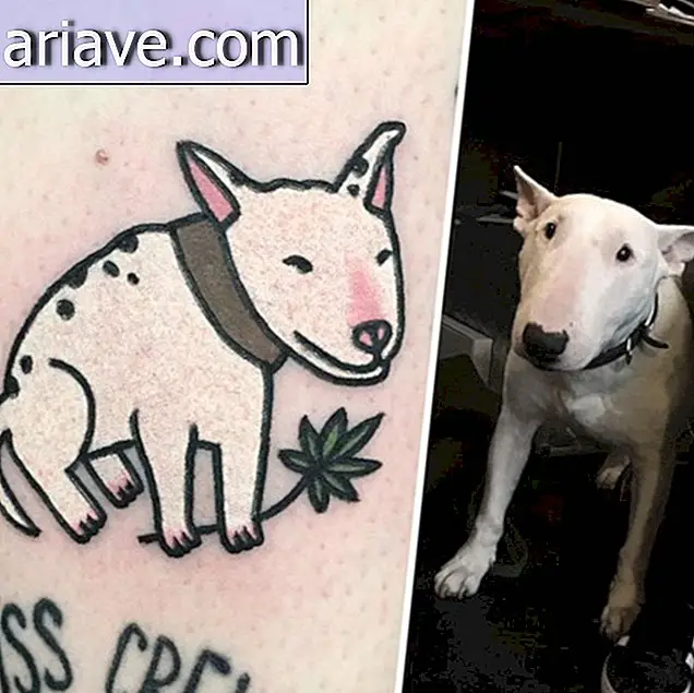 Vous avez toujours voulu faire tatouer votre animal de compagnie? Alors voir ces photos