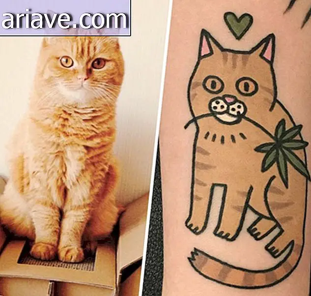 Si že kdaj želel dobiti tetovažo svojega ljubljenčka? Potem si oglejte te fotografije