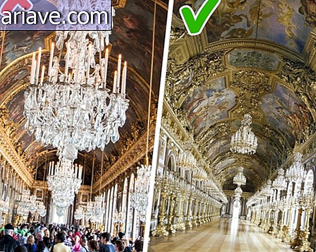 Versailles ja Herrenchiemsse