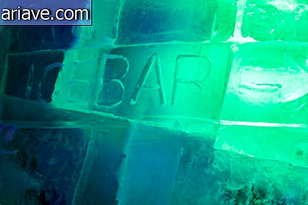 Fuimos a visitar el primer bar de hielo permanente en Brasil