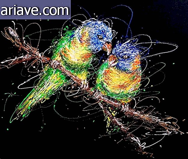 oiseaux volants colorés