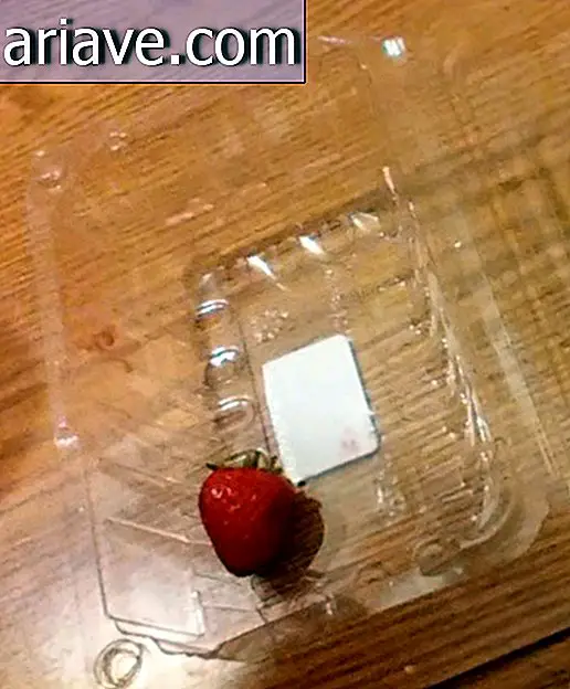 Boîte de fraises