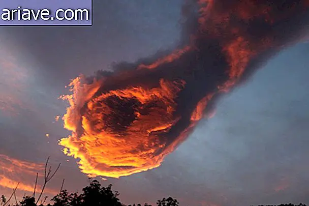 “Main divine”: Photo de nuage viral sur Internet