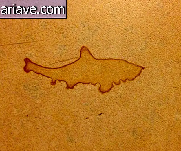 Тачка у облику ајкуле