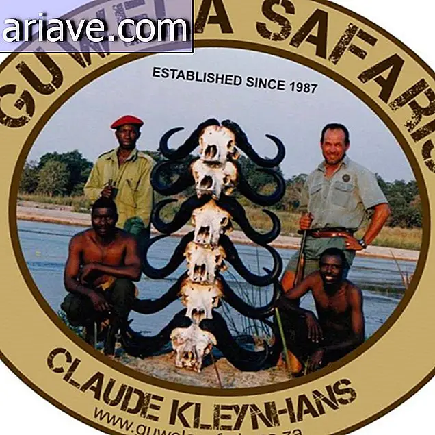 Safaro w Afryce