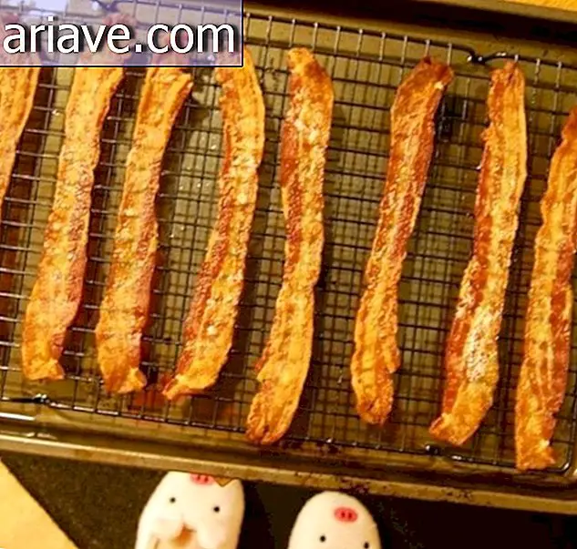 bakat bacon