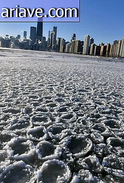 Mùa đông Chicago