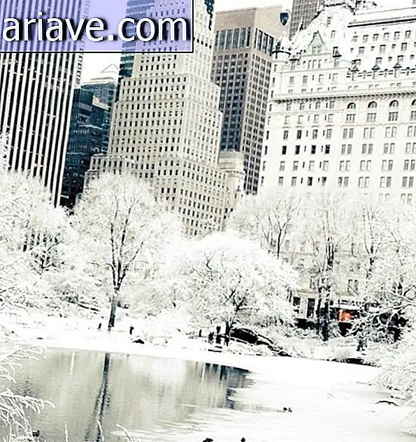 Nowy Jork zimą