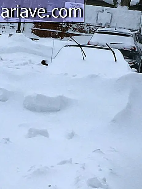 Auto haudattu lumen alle