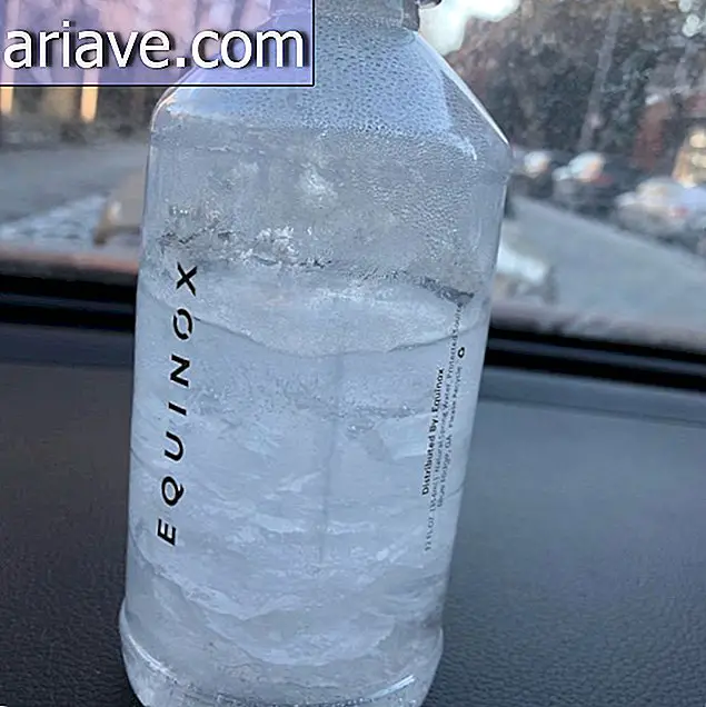 Külmutatud pudel