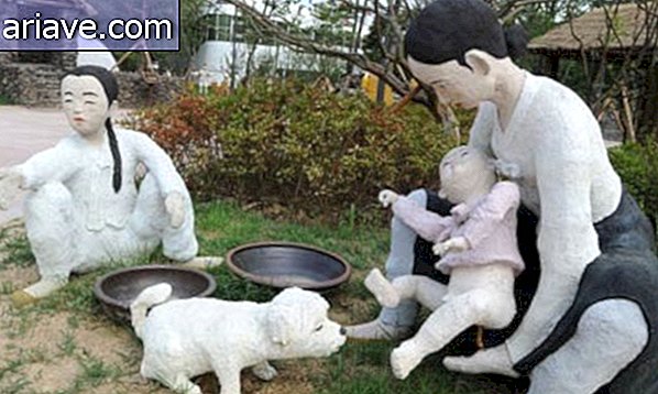 विचित्र: स्वच्छता पार्क कोरिया में खुलता है [गैलरी]