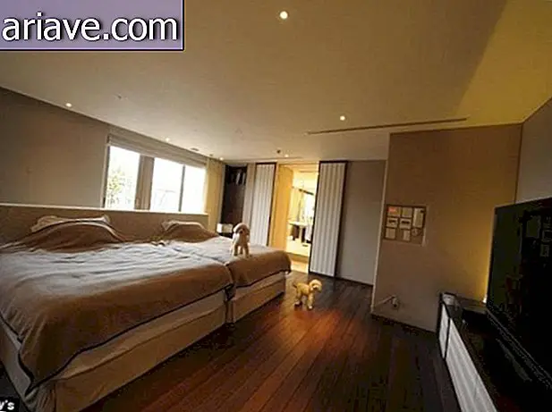 Un apartament cu un dormitor costă 48 de milioane de dolari în Japonia